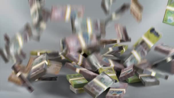 Brunejské Dolarové Bankovky Brunejské Peníze Ringgit Brunej Bnd — Stock video