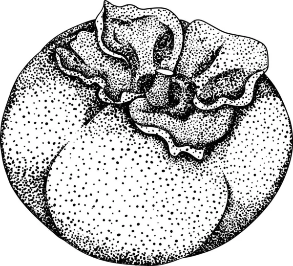 Handritad Persimon Dadlar Plommon Svart Och Vitt Botaniska Vektor Illustration — Stock vektor