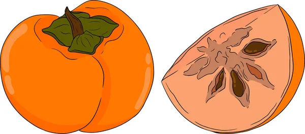 手工画的柿子 枣李子果 色彩斑斓的植物 卡通片被白色背景隔离 矢量说明 — 图库矢量图片