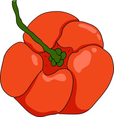 El çizimi kırmızı acerola çileği, barbados kirazı, Malpighia emarginata. Egzotik süper yiyecekler, meyveler. - Evet. Vektör illüstrasyonu