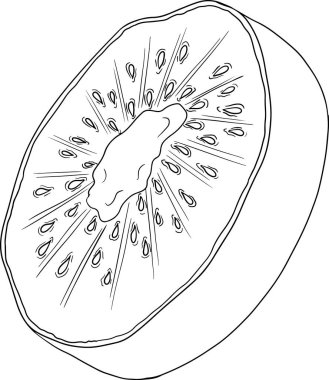 Vektör el çizimi Kiwifruit veya Çin bektaşi üzümü veya yangtaosign. Tropik egzotik meyve. - Evet. Vektör illüstrasyonu