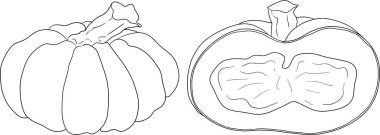 Farklı balkabaklarının el çizimleri ya da boyama sayfaları. Sonbahar sebzesi, sonbahar kabağı. Mevsimlik, Cadılar Bayramı ve Şükran Günü dekorasyonu. Vektör illüstrasyonu