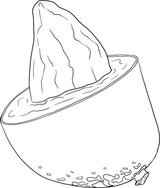 El çizimi mango. Tropik meyve vektör illüstrasyonu. Botanik renkli sayfalar. Vektör illüstrasyonu