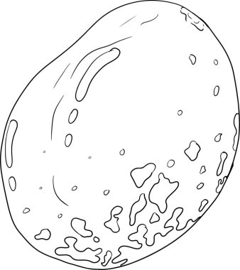 El çizimi mango. Tropik meyve vektör illüstrasyonu. Botanik renkli sayfalar. Vektör illüstrasyonu