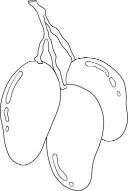 El çizimi mango. Tropik meyve vektör illüstrasyonu. Botanik renkli sayfalar. Vektör illüstrasyonu