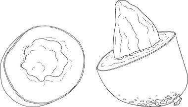 El çizimi mango. Tropik meyve vektör illüstrasyonu. Botanik renkli sayfalar. Vektör illüstrasyonu