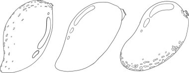 El çizimi mango. Tropik meyve vektör illüstrasyonu. Botanik renkli sayfalar. Vektör illüstrasyonu