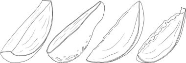 El çizimi mango. Tropik meyve vektör illüstrasyonu. Botanik renkli sayfalar. Vektör illüstrasyonu