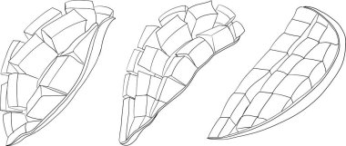 El çizimi mango. Tropik meyve vektör illüstrasyonu. Botanik renkli sayfalar. Vektör illüstrasyonu