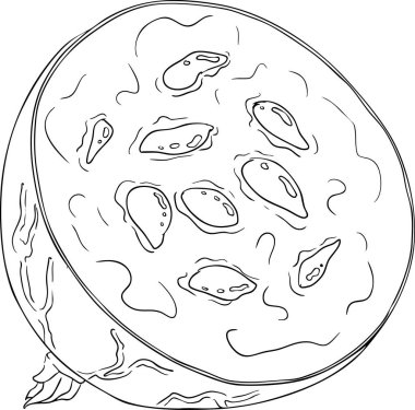 Bektaşi üzümü el çizimi vektör çizimi. Beyaz arka planda çiğ çileği çizimi böğürtlen ve yapraklar. Vektör illüstrasyonu