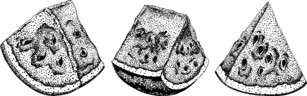 Karpuz oyma seti. Karpuz meyve vektörü ayarlandı. Karpuz tazeliğinin resmi. Vektör illüstrasyonu