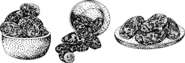 Ayrıntılı oyma vektör sanatı, kurutulmuş tarihler. Yemek, aşçılık ya da doğa temalı stok tasarımları için idealdir. Vektör illüstrasyonu