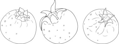 Serviceberry, saskatoon kümeleri, çiçekler ve tek dutlu çizimler. Doğa ve yemek tasarımları için mükemmel..