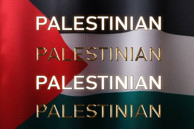 Filistin Halkıyla Uluslararası Dayanışma Günü, 29 Kasım 2023