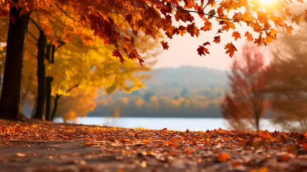 stock image Beautiful autumn landscape with. Colorful foliage in the park. Falling leaves natural background