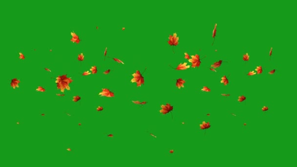 Leaves Falling Footage Green Screen — Stockvideo