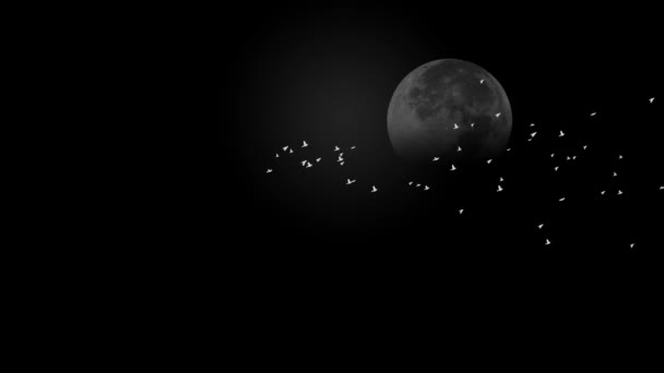 Amazing Night Sky Moon Flock Flapping Birds Moving Footage Black — 비디오