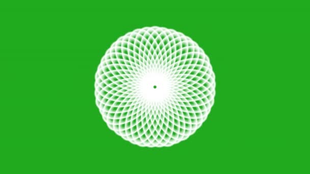 Animated White Flower Rotating Effect Green Screen Background — Stock Video