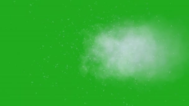 绿色屏幕上的白烟和灰尘微粒 — 图库视频影像