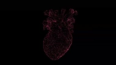 Biyolojik insan kalbi siyah ekranda dönüyor.