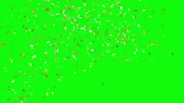 Yeşil ekrana düşen altın konfeti kurdeleleri 