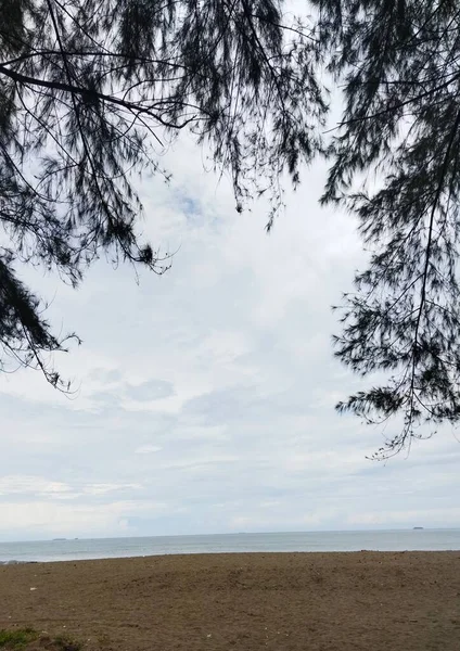 Ağaçlar ve bulutlarla dolu güzel bir manzara.