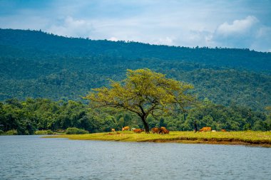 Göl manzarası ve Bangladeş 'ten dağların manzarası