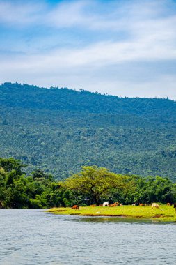 Göl manzarası ve Bangladeş 'ten dağların manzarası