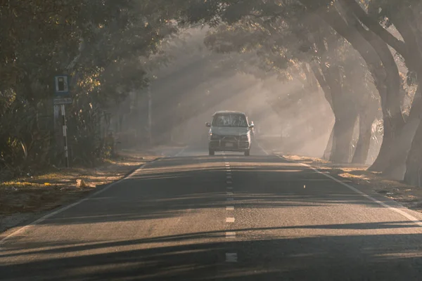 Driving in a foggy road in a winter morning, selective focus