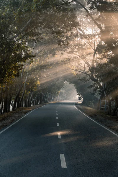 The sunrise as it rises in the foggy morning of winter, Selective Focus