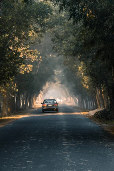 Driving Foggy Road Winter Morning Selective Focus — Stockfoto
