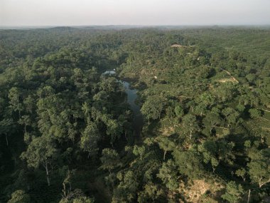 Dağın tepesinden manzara, çay bahçesindeki göl.
