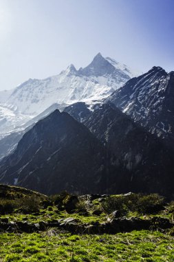 Machhapuchare, Nepal 'in Himalayalarında Balıkkuyruğu Dağı, Machapuchare, Nepal' in Kutsal Dağı, Machhapuchare: Nepal 'in Enigmatik Balık Kuyruğu Tepesi, Machhapuchare Dağı, Tırmanmamış Dağ