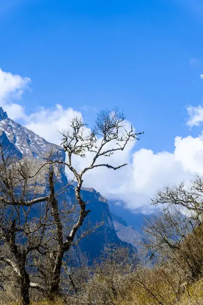 Mardi Himal Dağı, Machapuchare 'den Deurali' ye Majestic Mountain Views, Annapurna Trek Nepal sırasında Himalayaların açılışı.
