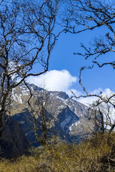 Mardi Himal Dağı, Machapuchare 'den Deurali' ye Majestic Mountain Views, Annapurna Trek Nepal sırasında Himalayaların açılışı.