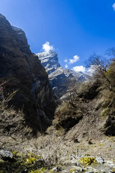 Mardi Himal Dağı, Machapuchare 'den Deurali' ye Majestic Mountain Views, Annapurna Trek Nepal sırasında Himalayaların açılışı.