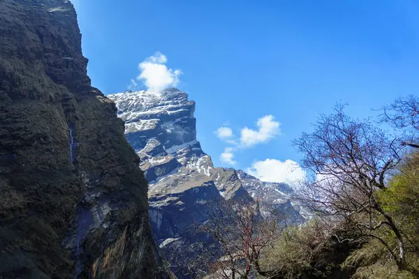 Mardi Himal Dağı, Machapuchare 'den Deurali' ye Majestic Mountain Views, Annapurna Trek Nepal sırasında Himalayaların açılışı.