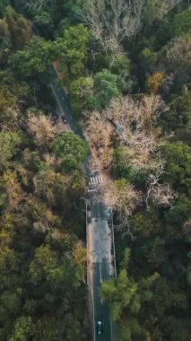 Lawachara Ulusal Park Ormanı Yolu, Sreemangal