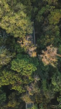 Lawachara Ulusal Park Ormanı Yolu, Sreemangal