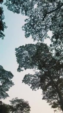 Lawachara Ulusal Park Ormanı Yolu, Sreemangal