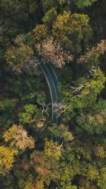 Lawachara Ulusal Park Ormanı Yolu, Sreemangal