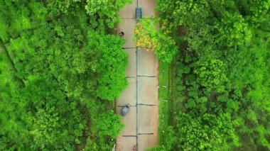 Sreemangal 'da güzel bir yol, Bangladeş Kızıl Çiçekler ve Çay Bahçeleriyle çevrili