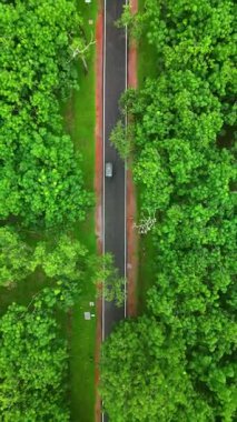 Sreemangal 'daki Çay Bahçesi Yolu, Sylhet, Bangladeş