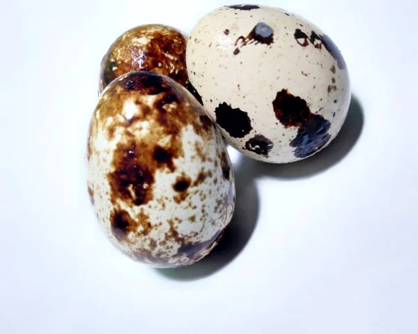 Quail Eggs Bowl White Background — Stock fotografie