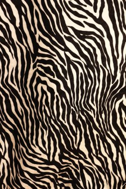 Anima kingdom Texture Treasure Trove: Unveiling Graphic Resources Galore Zebra skin clipart