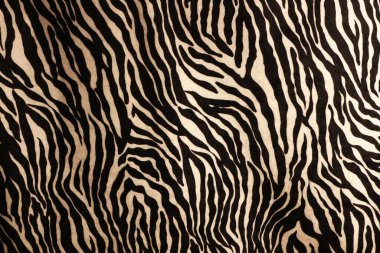 Anima kingdom Texture Treasure Trove: Unveiling Graphic Resources Galore Zebra skin clipart