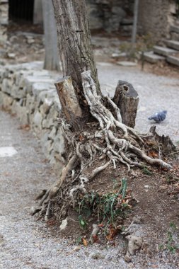 Girona 'da büyüleyici bir görsel yolculuğa çıkın, antik kaldırım taşları sokakları, pitoresk sokaklar ve tarihi yapılar arasında yüzyılların zengin mirasının bir kanıtı olarak duruyor..