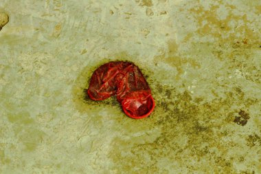 Şehir hayatının acı gerçeklerini ortaya çıkarmak için bu ham ve rahatsız edici görüntü kullanılmış bir prezervatifi kaldırıma yapıştırıyor..