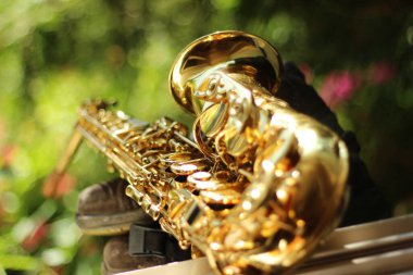 Geniş bir açıklıkla yakalanmış alto saksafonun alt kısmına odaklanan büyüleyici bir görüntü. Doğal bir ortamın ortasındaki güzel bokeh etkisi karmaşık ayrıntıları ve zarafeti vurguluyor.