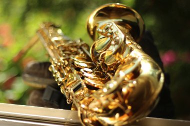 Geniş bir açıklıkla yakalanmış alto saksafonun alt kısmına odaklanan büyüleyici bir görüntü. Doğal bir ortamın ortasındaki güzel bokeh etkisi karmaşık ayrıntıları ve zarafeti vurguluyor.